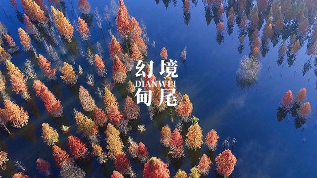 热血冰球