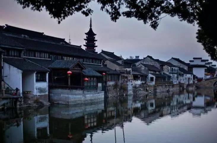 美国一大学宿舍内有蝙蝠出没 校方称一天发现约30只